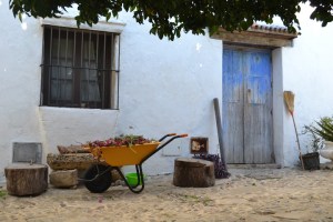 Blue door with yellow wheelbarrow