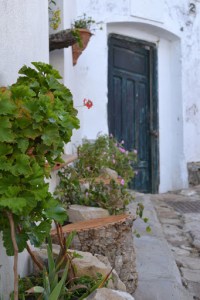 Blue door in perspective with green plants and flowers