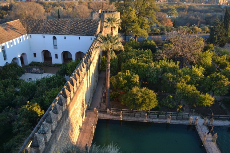 dsc_0965_zpsl4gdwalb