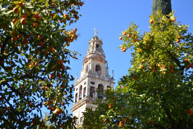 dsc_0104_zpse3ltctsm