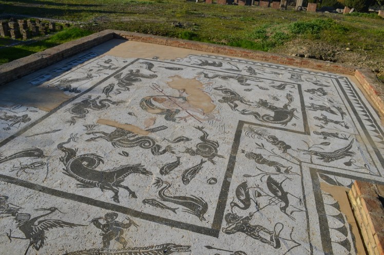 dsc_0658_zpsk9dk0td6