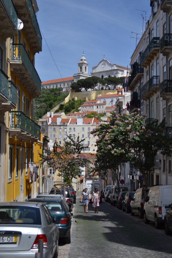 dsc_0881_zpssm2fzttq