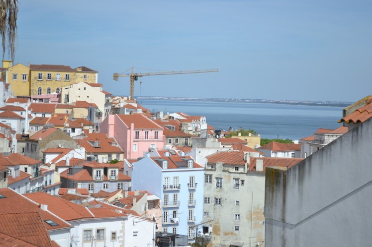 dsc_0946_zpsvrhhzkxs