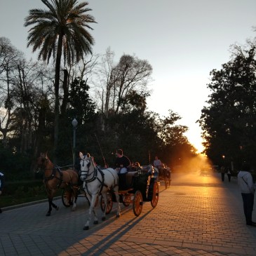 Horse and carriage in Maria Luisa Park in Seville. Photo by The Spanish Berry, all rights reserved.