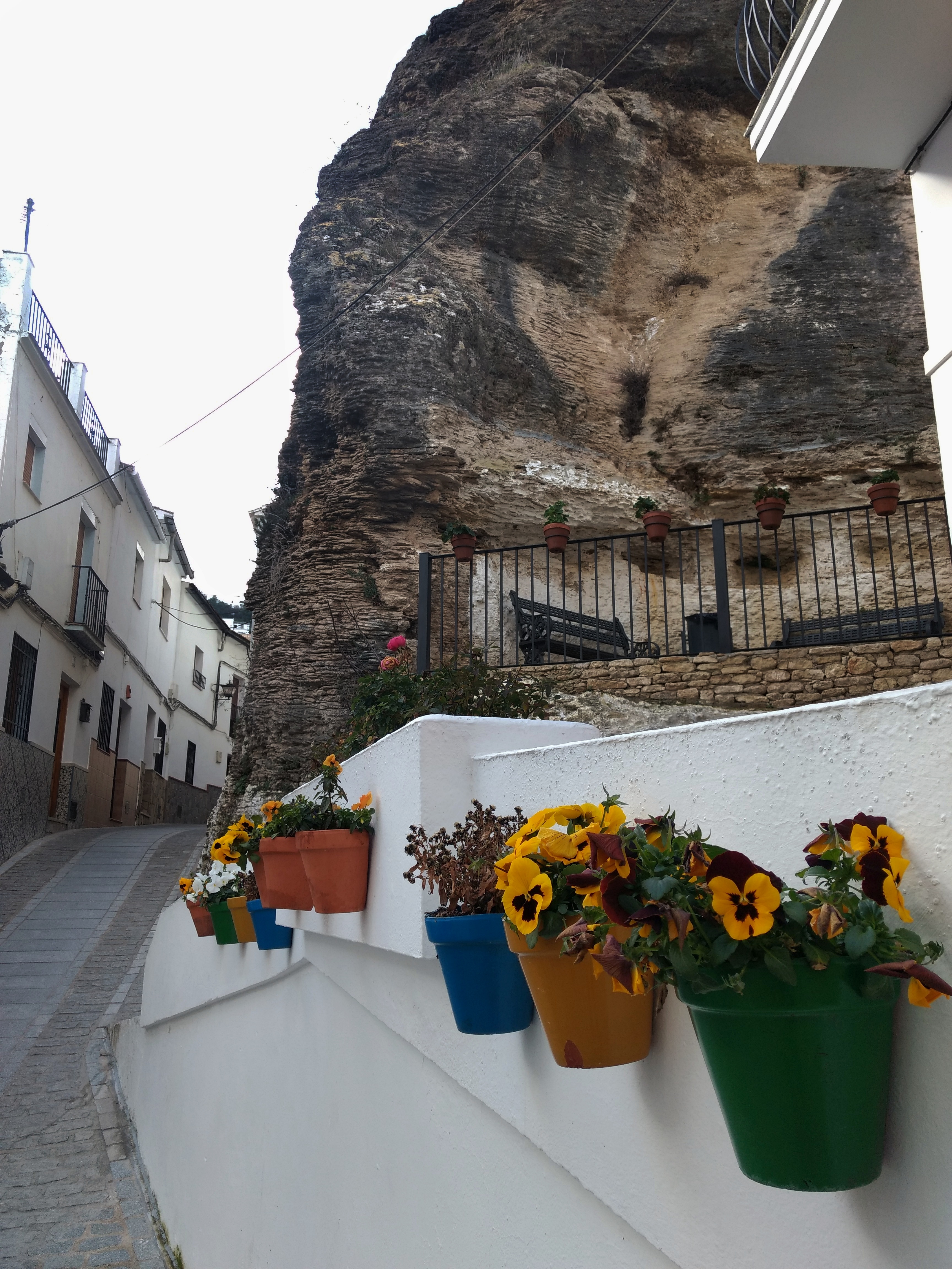Flower pots in Setenil