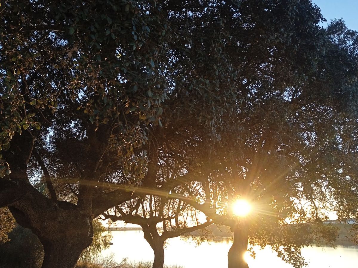 A year in review: the endeavours that come from&nbsp;stillness